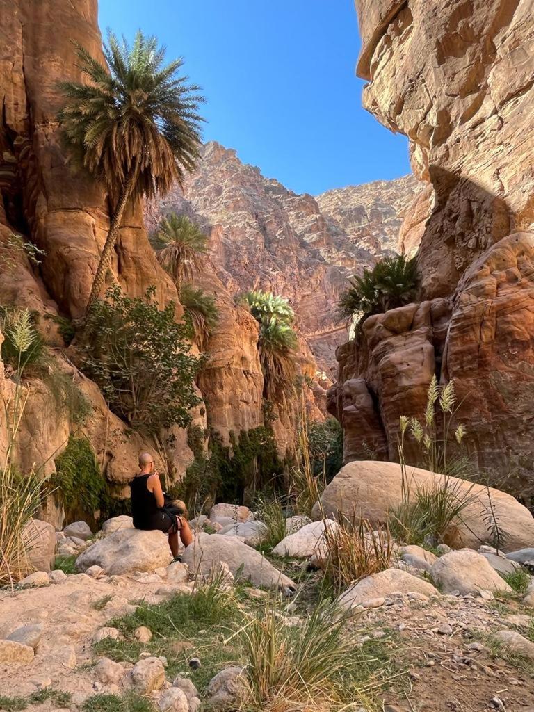 Al-Nawatef Eco Camp- Dana Nature Reserve Kültér fotó